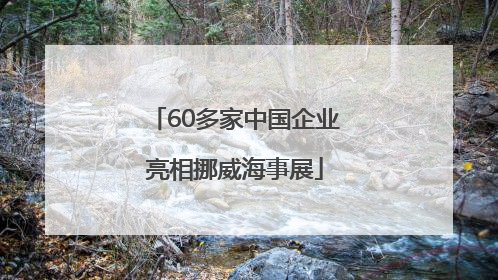 60多家中国企业亮相挪威海事展
