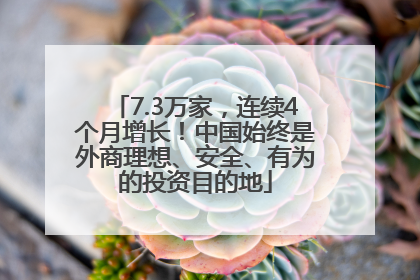 7.3万家，连续4个月增长！中国始终是外商理想、安全、有为的投资目的地