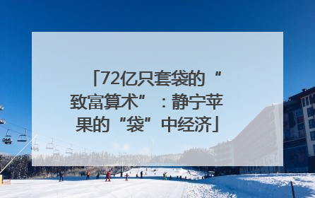 72亿只套袋的“致富算术”：静宁苹果的“袋”中经济