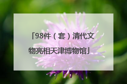 98件（套）清代文物亮相天津博物馆