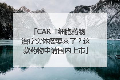 CAR-T细胞药物治疗实体瘤要来了？这款药物申请国内上市