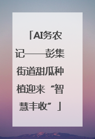 AI务农记——彭集街道甜瓜种植迎来“智慧丰收”